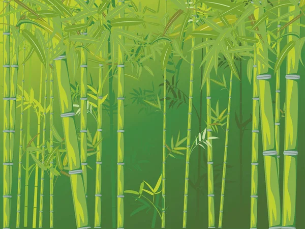 Ilustración Árboles Bambú Paisaje Forestal Asiático Fondo — Vector de stock
