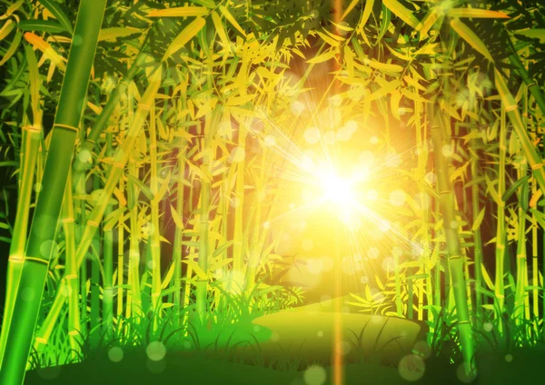 Зеленые Бамбуковые Деревья Листьями Внутри Лесного Пейзажа — стоковое фото
