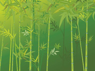 Bambu ağaçları, Asya orman manzara arka plan resmi.