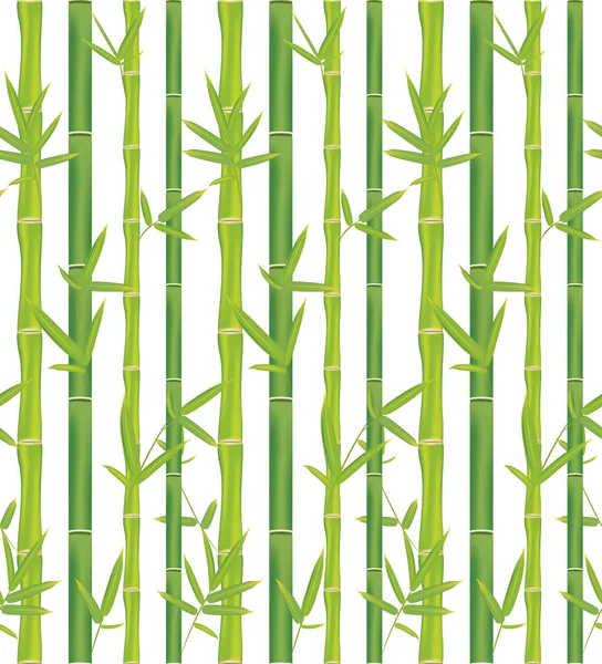 Asian Jungle Plant Bamboo Branches Leaves Pattern Design Background — Stock Vector
