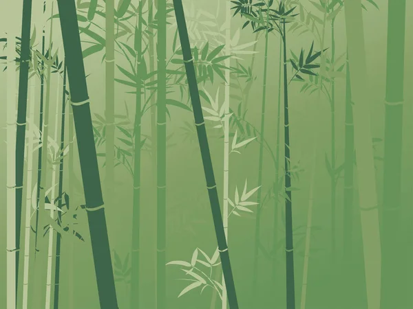 Bambusz Fák Ázsiai Erdei Táj Háttér Illusztrációja — Stock Vector