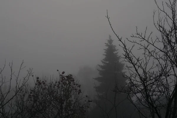 Dunkler Schwerer Nebel Und Weit Entfernte Bäume Herbstliche Ländliche Landschaft — Stockfoto