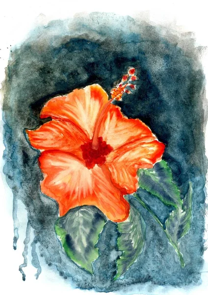 Wonderful tropical flowers, hand drawn, colorful watercolor illustration.