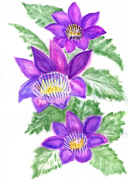 Underbara Tropiska Blommor Hand Dras Färgstark Akvarell Illustration — Stockfoto