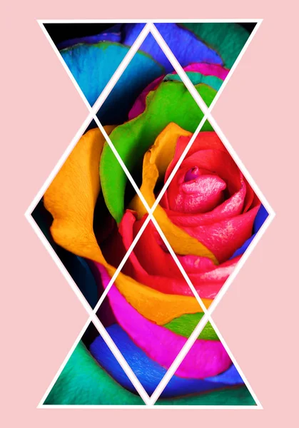 Collage Geométrico Con Flor Rosa Multicolor Polígono Fondo Decorativo — Foto de Stock