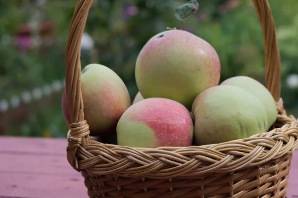 Pommes Fraîches Savoureuses Dans Panier Bois Dans Jardin — Photo