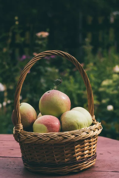 Maçãs Saborosas Frescas Uma Cesta Madeira Jardim — Fotografia de Stock