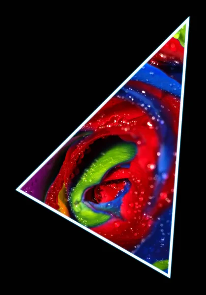 Geometriska Collage Med Multi Färgade Ros Blomma Och Polygon Dekorativa — Stockfoto