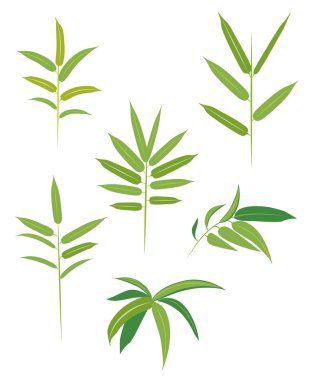 Orman bitkileri, Yeşil Bambu desen tasarım arka plan bırakır..