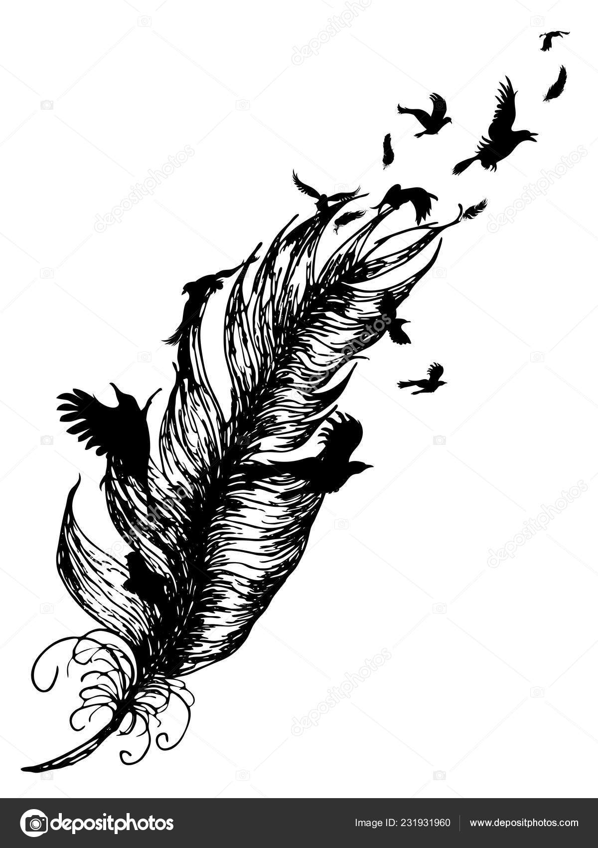 Oiseaux Vol Plume Silhouette Conception Tatouage Noir Blanc