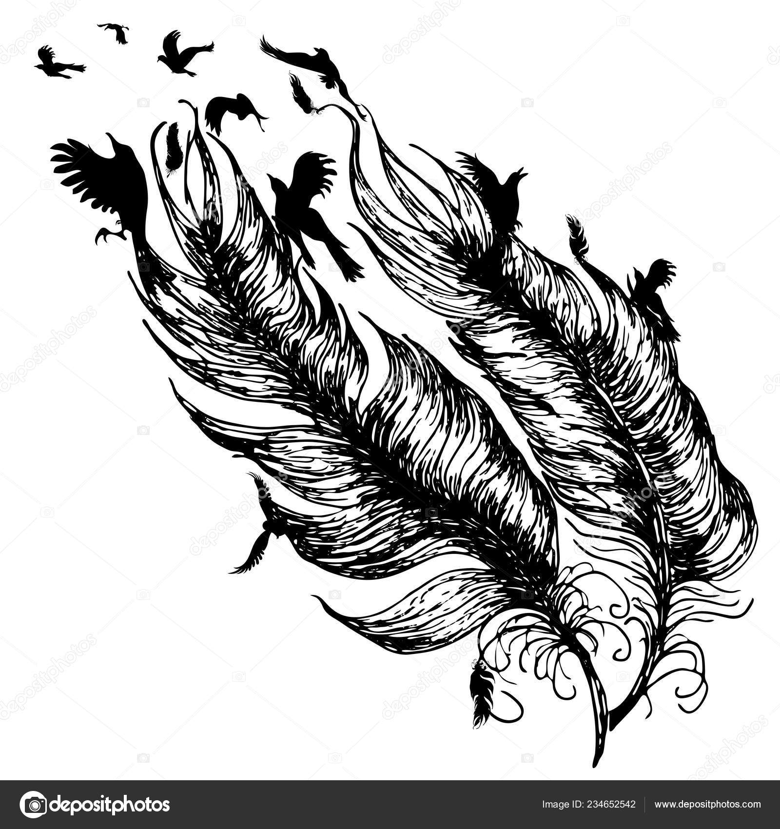 Oiseaux Vol Plume Silhouette Conception Tatouage Noir Blanc