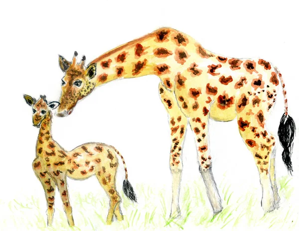 Cute giraffe art