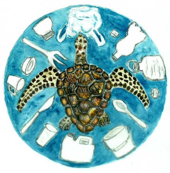 Turtle and plastic art