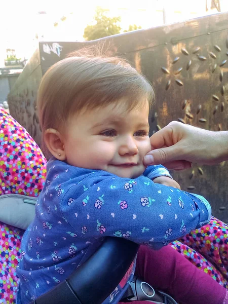 Che Bel Bambino Sorride Nel Passeggino Mentre Viene Pizzicata Guancia — Foto Stock