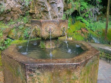 Etrafı bitki ve kayalarla çevrili antik bir taş. Asturias 'taki Covadonga Sığınağı' nın yanında..