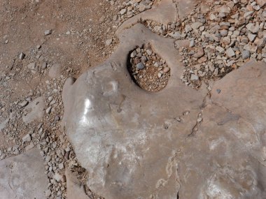 Üzerinde bir sürü taş olan zemin. Büyük, parlak ve parlak bir taş var..