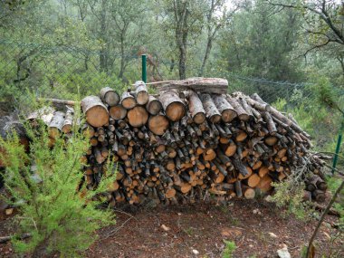 Gövde yığını. Bulutlu bir günde bir çitin yanındalar..