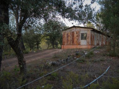 Terk edilmiş grunge kabini. Kırsalda, bazı ağaçların arasında..