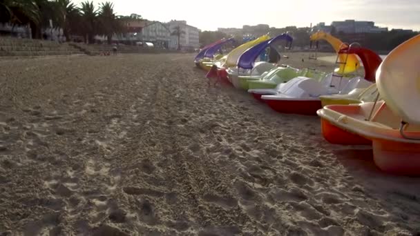 Una Ragazzina Anni Che Raccoglie Conchiglie Dalla Spiaggia Vicino Alcuni — Video Stock