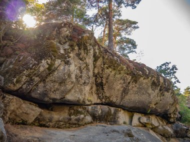 Segovia 'da doğal bir çevrede bitki örtüsüyle çevrili yosun ve aşınmayla kaplı büyük kayalar.