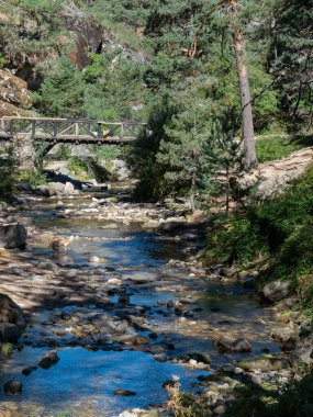 Segovia 'da bir derenin üzerindeki ahşap köprü. Etrafında bir sürü bitki var..