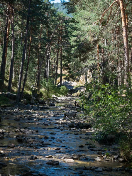 Stream in a natural environment in Segovia, with lots of vegetation around.
