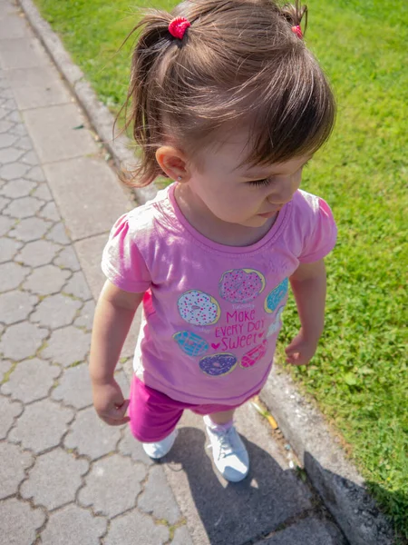 Little Girl Pigtails Dressed Pink Standing Next Lawn Sunny Summer — Stock Photo, Image