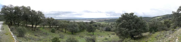 Vista Panorâmica Campo Com Céu Azul Cheio Nuvens Muita Vegetação — Fotografia de Stock