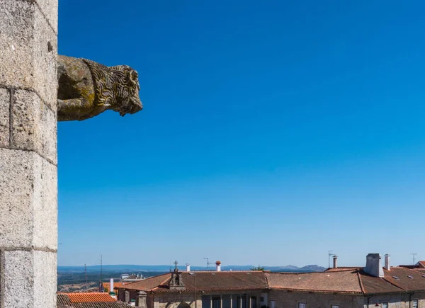 Kathedrale Wasserspeier Beobachtet Die Stadt Guarda Portugal Unter Einem Klaren — Stockfoto