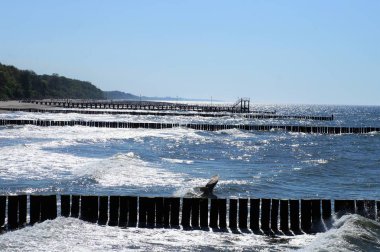 Kumsalda kuş uçuyor