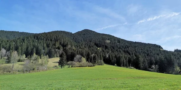 Montanhas Prados Paisagem Verão — Fotografia de Stock