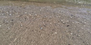 Plaj, su, güneş ve deniz