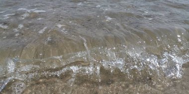 Kuzey denizinde bir gün ot bir plaj