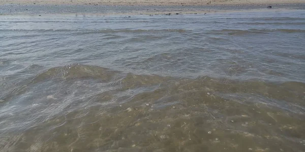 Day Wadden Sea — Stock Photo, Image