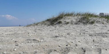 Deniz kumullarında güneşli bir gün