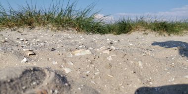 Deniz kumullarında güneşli bir gün