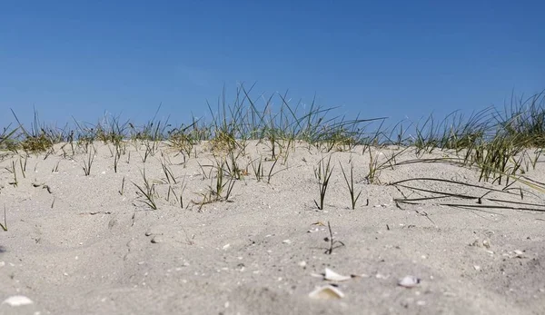 海边沙丘的阳光明媚的一天 — 图库照片