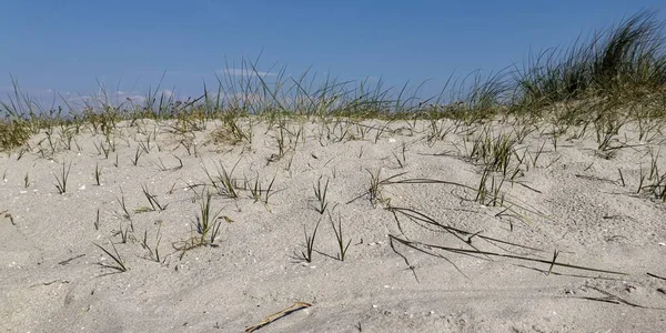 Deniz kumullarında güneşli bir gün