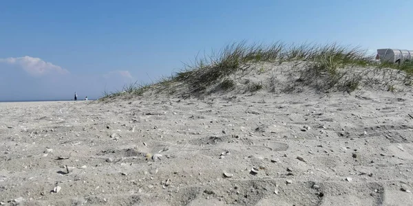 Deniz kumullarında güneşli bir gün