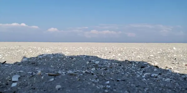 Une Journée Ensoleillée Sur Plage Sable — Photo