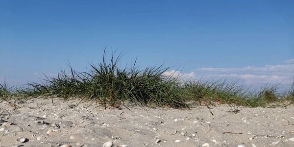 Día Soleado Las Dunas Junto Mar — Foto de Stock