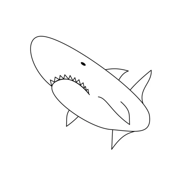Tiburón Nadador Forrado Mar —  Fotos de Stock