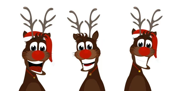 Rudolf Red Nose Reindeers — Stock Photo, Image