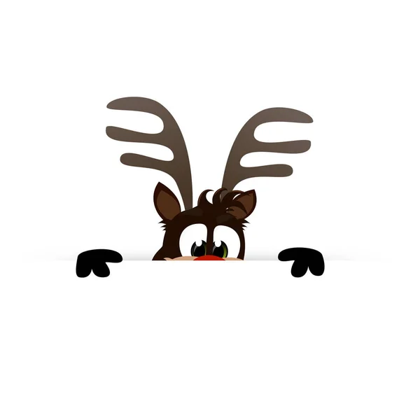 Rudolf Red Nose Reindeer — Stock Photo, Image