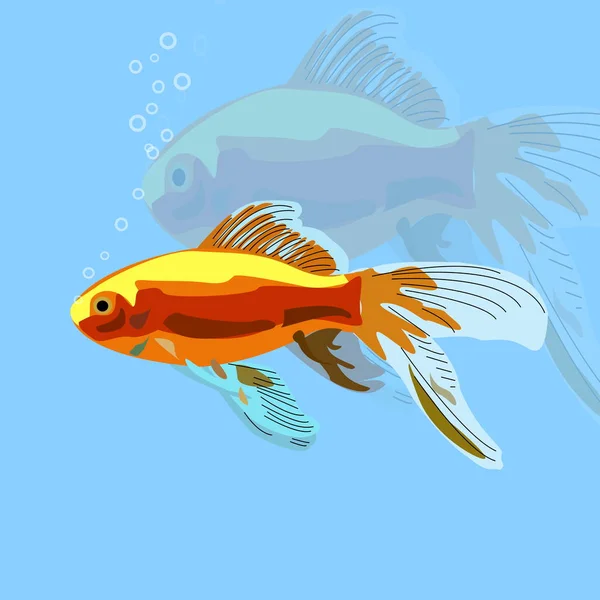 Small Shimmering Goldfish Water — Stock Photo, Image