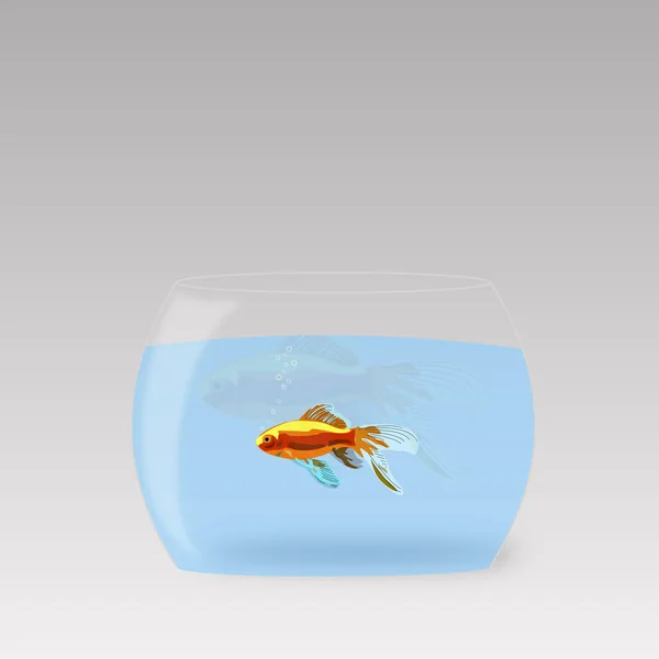 Ein Kleiner Schimmernder Goldfisch Wasser — Stockfoto