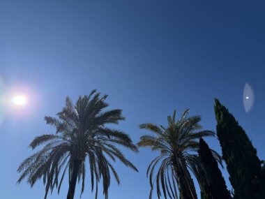 Doğanın güzel manzarası