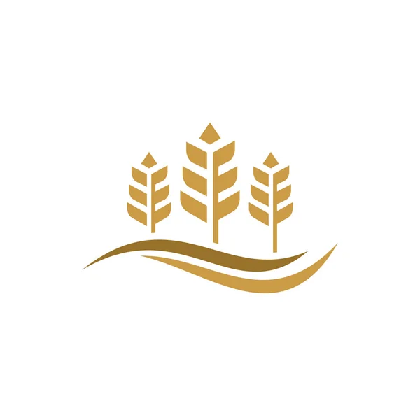 Lujo Grano Trigo Logo Concepto Agricultura Trigo Logo Plantilla Vector — Archivo Imágenes Vectoriales
