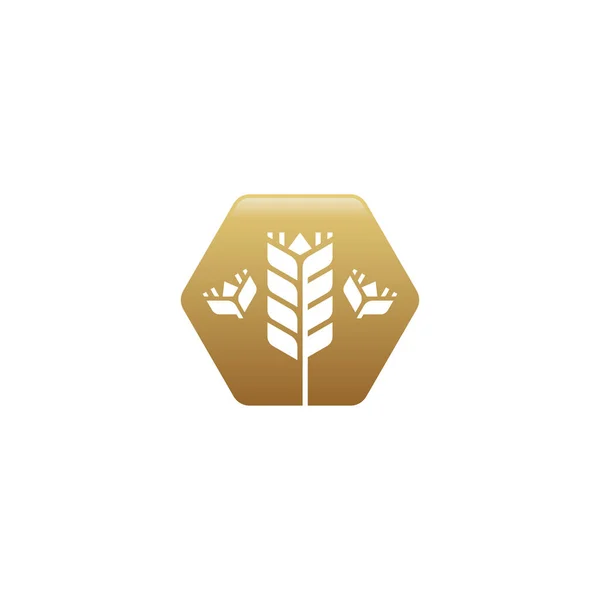 Grain Wheat Logo Concept Agricultura Trigo Logo Plantilla Vector Icono — Vector de stock