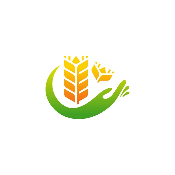 Conception Logo Wheat Care Vecteur Concept Conception Logo Agriculture Grain — Image vectorielle